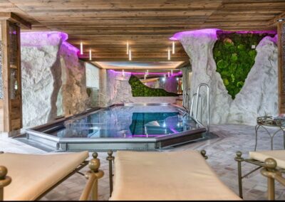 Felswand Mit Moos - Hotel - Spa Bereich