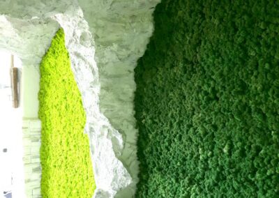 Kunstfelsen Mit Islandmoos - Ausstellung